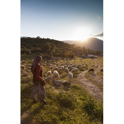 Shepherdess with Flock at Sunset by Lilagri