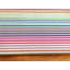 Striped Area Rug in Brights-1594282000