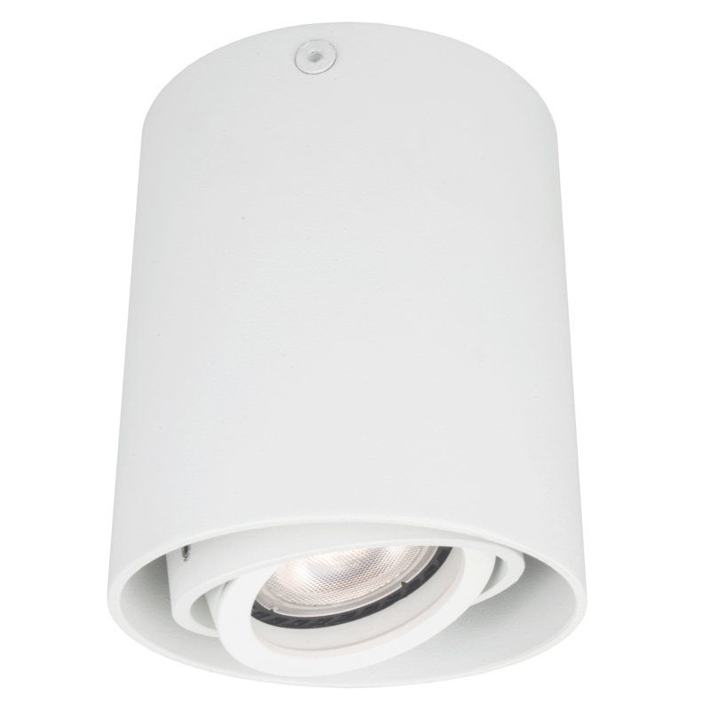 Braga Eyeball Recessed Trim, White