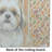 Gold and White Shih Tzu Heirloom Fall Glass Cutting Board