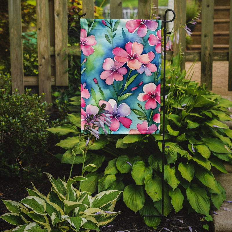 Orchidées paphiopedilum, drapeau du jardin, Phlox
