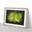 Leaf Roads Paint Splash - Picture Frame Graphic Art-56865278-56865279