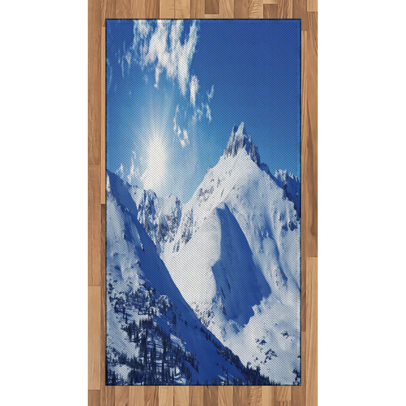 Winter White High Density Long Fiber Poly Threads Decorative Area Rug Carpet, Rectangle 2'7" x 5'