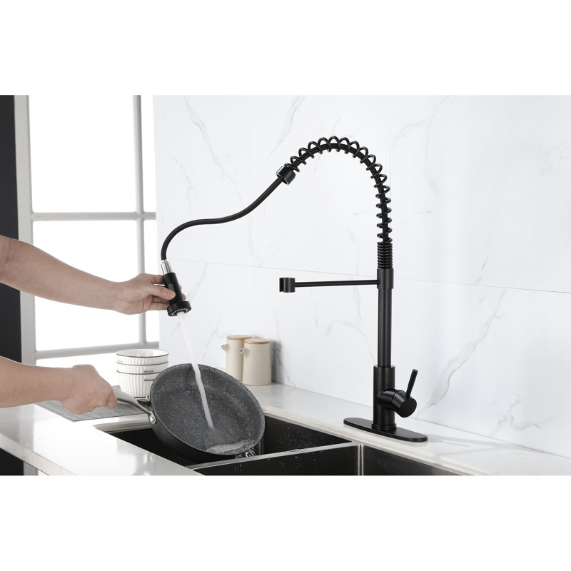 Robinet de cuisine noir mat avec douchette extractible - Acier inoxydable, revêtement, ressort rotatif à 360 °, débit d'eau