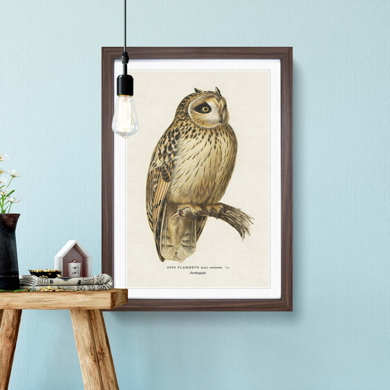 Short-Eared Owl by Von Wright - Picture Frame Painting Print, Walnut, 91cm H x 60cm W x 2cm D