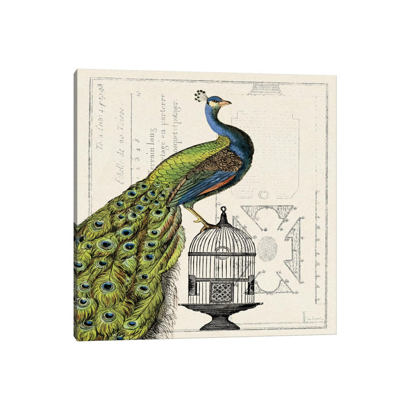 Peacock Birdcage I 1 Piece Wall Art on Canvas, 30.48 cm H x 30.48 cm W, Wrapped Canvas