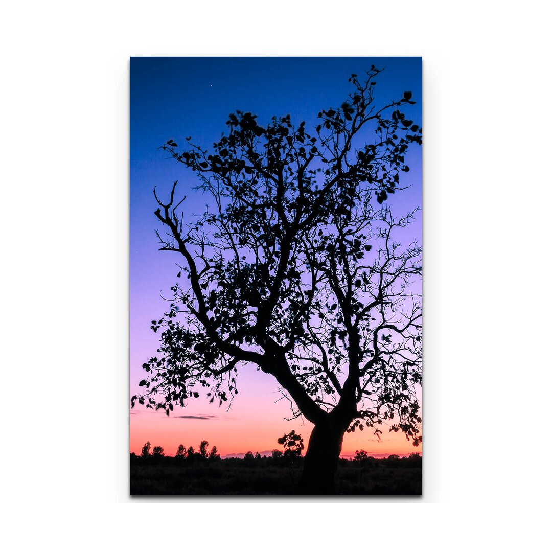 Leinwandbild Tree Silhouette