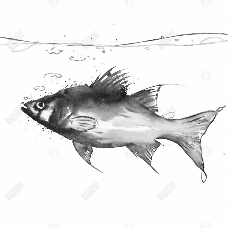 " Swimming Fish "