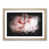 Oak Framed selected