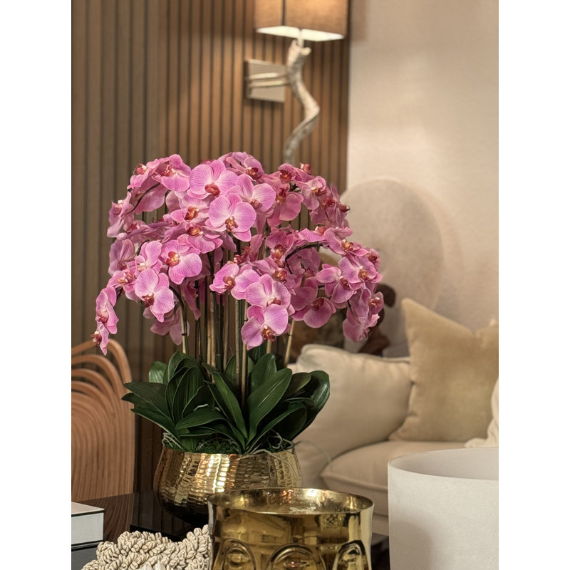 Roberi Orchid Arrangement in Planter, 28" H x 18" W x 18" D