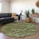 Premium Machine Washable Cerrito AMF501 Olive Rug