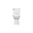 AquaWash Elongated Toilet Seat Bidet