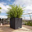 Moneak Planter Box-2033258000-2033258002