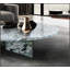 Table basse en marbre naturel bleu-gris, pièce maîtresse du salon, pierre véritable, grain unique, élégante et durable