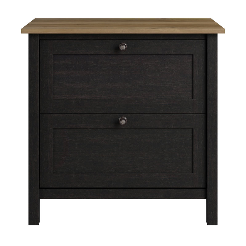 Osvald 31'' Wide 2 - Drawer File Cabinet, Dark Bronze/Brown