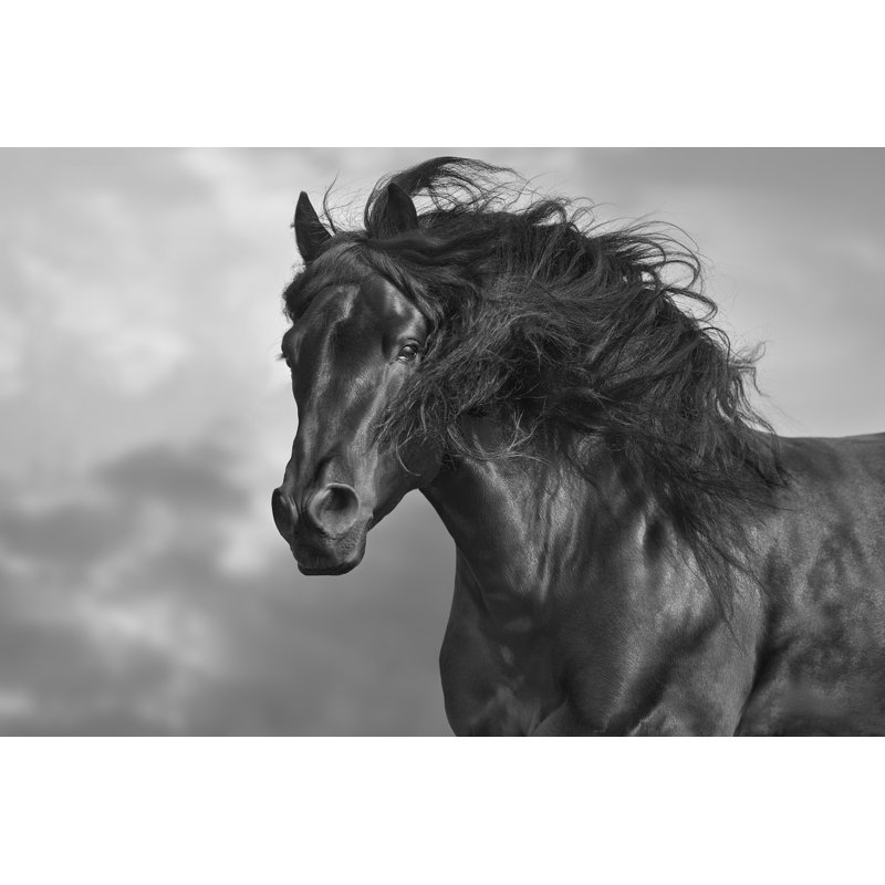 " Black Stallion " by Nemyrivskyi Viacheslav, 32" H x 48" W