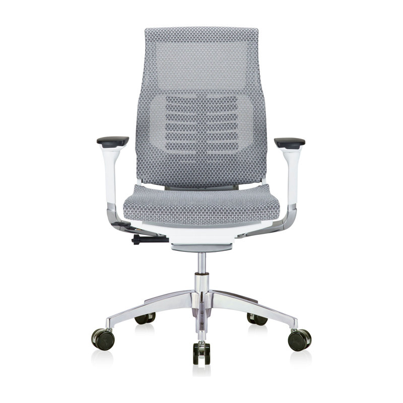 Mesh Executive Chair with Headrest, White, Gray