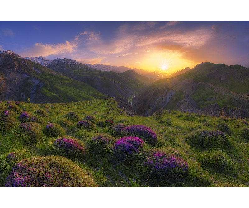 Wrapped Canvas Print, 50.8 cm H x 76.2 cm W