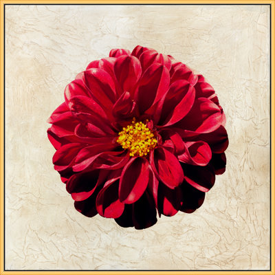 Textured Petals 2 Print by Lillian August