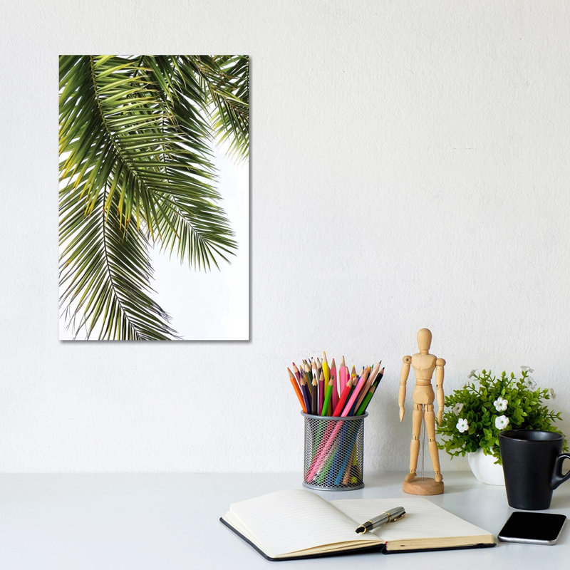 Palm Leaves by Lexie Greer - Print on Canvas, Wrapped Canvas, 30.48 cm H x 45.72 cm W