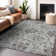 Premium Machine Washable Prisco Gray Rug