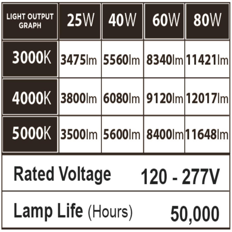 Dimmable 60 Watt LED Outdoor Security Wall Pack
