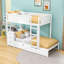Lit superposé avec lit gigogne simple, prises USB et tiroirs de rangement, tablettes-1685803014-1685803016