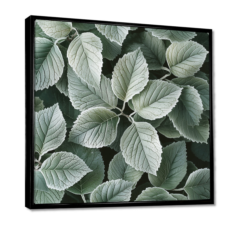 Frosted Leaves II - feuilles, art mural, Impression encadrée flottante, Noir, noir, noir, noir, H 16 po x l 16 po