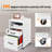 Elisbeth 16'' Wide 2 -Drawer Mobile File Cabinet-1270359372