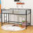 Twin Sturdy Metal Loft Bed With Ladder