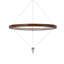 Luminaire suspendu Erbo de 11 pouces, DEL à intensité variable, bois de pin et chrome