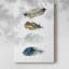 Collection Feather - Cavas enveloppés de galerie-1828670576