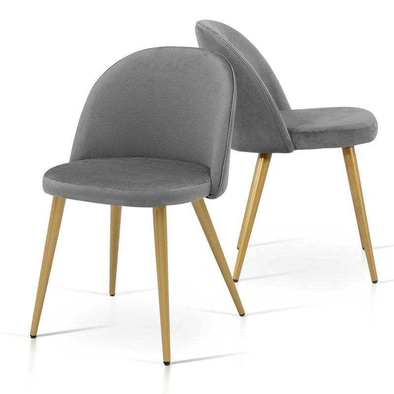 Chaises de salle à manger Cha Chaises d'appoint rembourrées en velours avec pieds dorés, gris