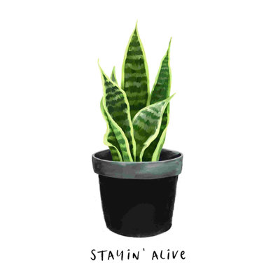 «Stayin Alive Snake Plant», art textuel sur toile tendue