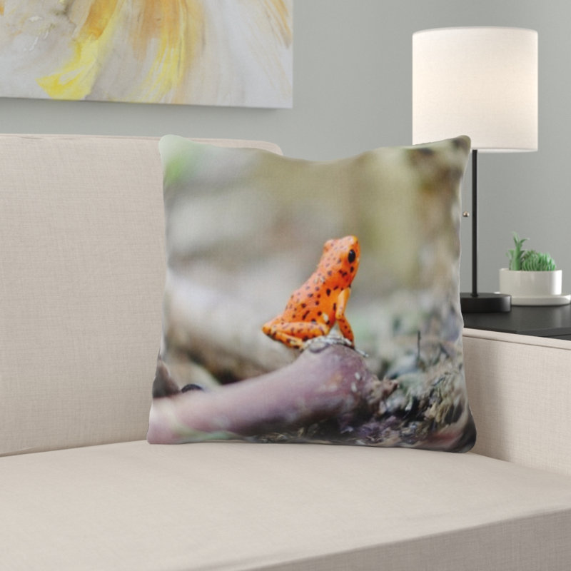 Coussin amphibien