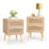 Table de chevet en rotin avec 2 tiroirs de rangement Spurlin