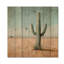 Cactus dans le désert III - Art mural bois de cactus floral - sur bois de pin naturel-1473523815