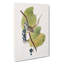 White Crowned Sparrow by John Audubon - Wrapped Canvas Painting-55305420