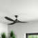 Percival Ceiling Fan