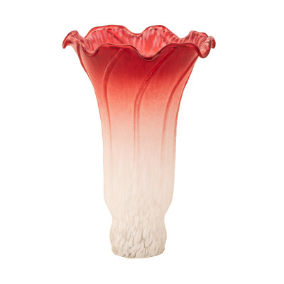 Rideau lys 4 "de large x 6" de haut