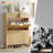 Shoe Storage Cabinet With 2 Flip Drawers