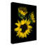 Dosta «Sunflower 2», reproduction d'impression sur toile tendue-29223801
