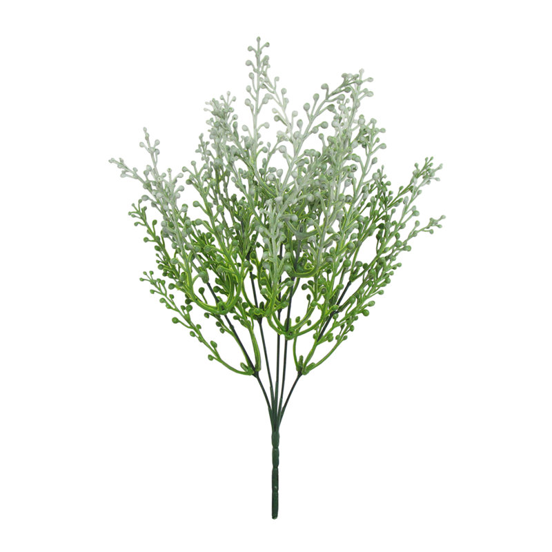 Poivre, baies, verdure, buisson, plante, Blanc / vert