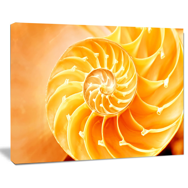 «Yellow Nautilus Shell» - impression sur toile tendue, H 20 po x l 20 po x P 1 po