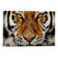 Animal - Tiger par Maximilian San - impression sur toile tendue-31174028