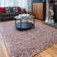 Dimitrov Shag Area Rug-54643933