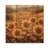 Country Side Sunflowers In Fall II - Sunflowers Wood Wall Art - On Natural Pine Wood-1879795815
