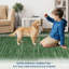 Indoor / Outdoor Rug-906949506-906949507