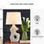 Lampe de table Tanyjah, ensemble de 2