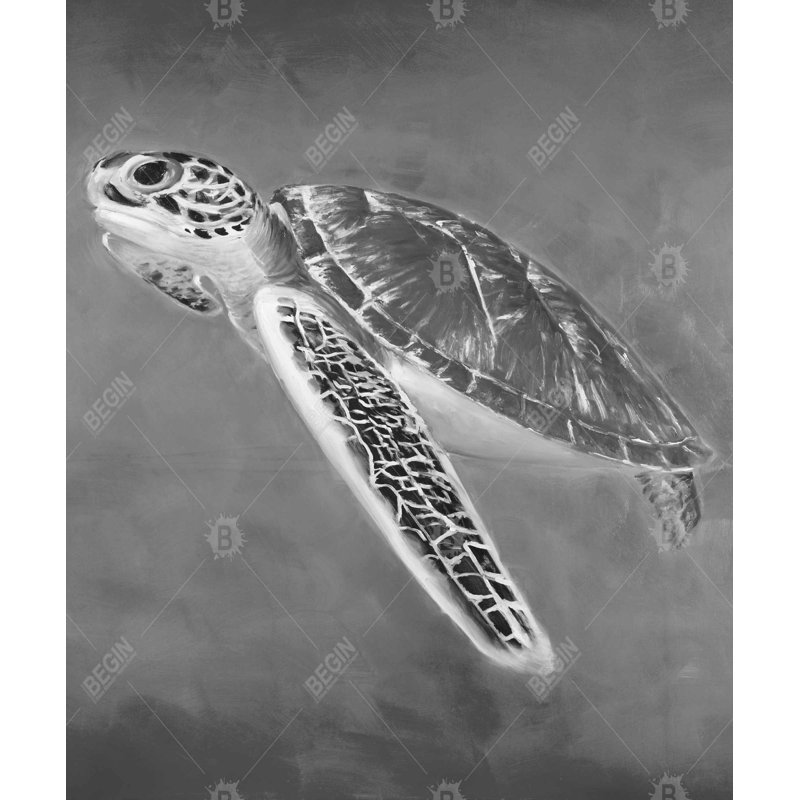 Grayscale Sea Turtle - Black Framed Canvas Home Decor Art
